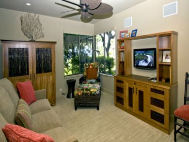Den with flat screen