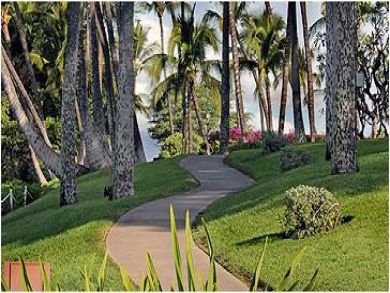 Wailea One Bedroom Walk to Beach Vacation Rental Condo