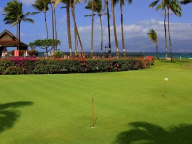 Lahaina Vacation Rental Close to North Kaanapali Beach