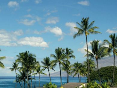 Ocean view