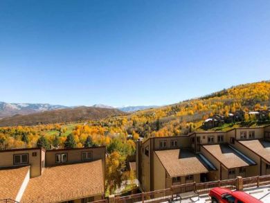 Aspen Condo 906500