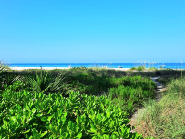 Lovely Two Bedroom Two Bathroom Beach Condo Sleeps Four