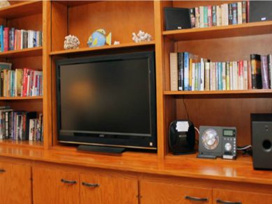 Flat screen & books collection