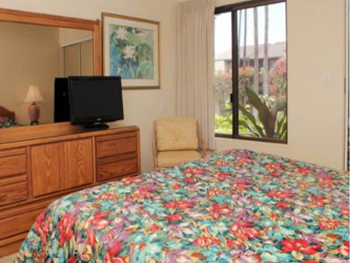 Master bedroom with TV