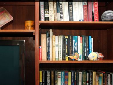 Flat screen TV & book collection in living room