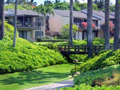Back view of property from lanai