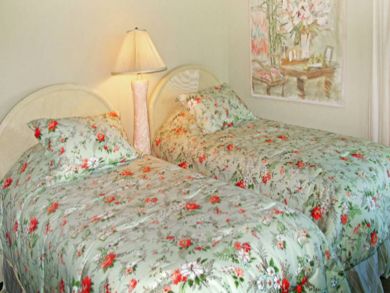Guest bedroom with twin beds