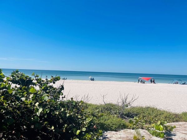 Beachfront Vacation Condo Anna Maria Island - additional view, photo 2