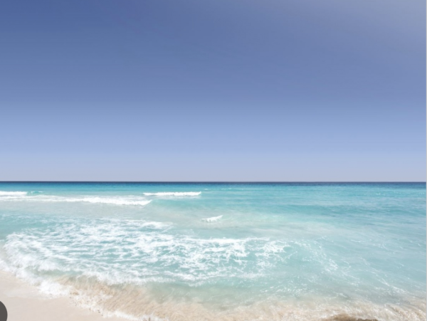 Bradenton Beach Vacation Rental - Florida Gulf Coast Bayfront Escape
