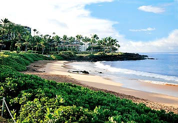Sandy beach & ocean view