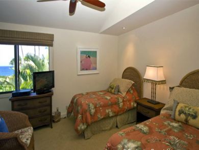 Guest bedroom with twin beds & TV