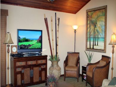 Flat screen TV in living room