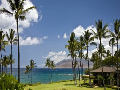 Tropical ocean view