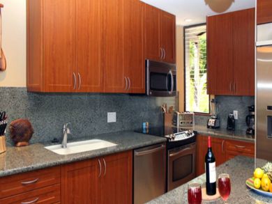 Fully upgrated contemporary kitchen