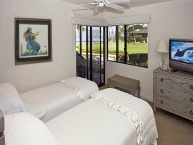 Guest bedroom with twin beds & TV