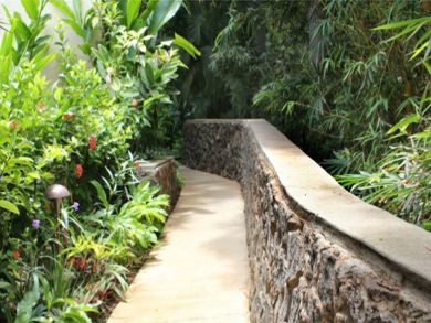 Tropical foliage on walkways to parking lot