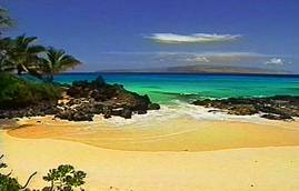 Sandy beach & ocean view Sandy beach & ocean view
