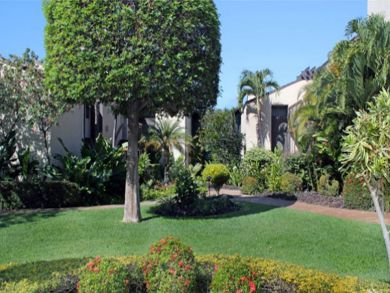 Exterior view of Maui condo complex