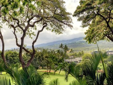 Kihei Two Bedroom Vacation Condo Kihei Two Bedroom Vacation Condo