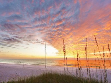 Anna Maria Vacation Home - We Really Mean Steps to the Beach