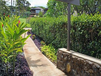 Walkway to front door