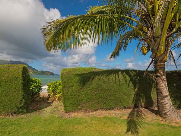 Luxury Hanalei Beach House With Ocean Views Sleeps 6