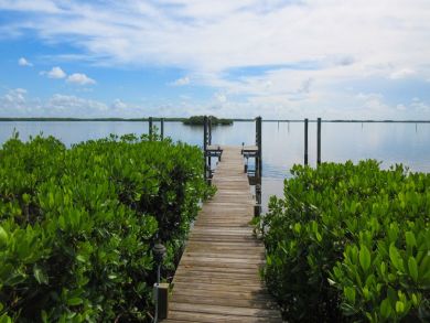 Fort Myers Condo 907020