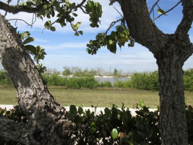 Fort Myers Condo 907022