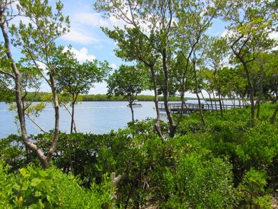 Fort Myers Condo 907035