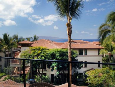 View from terrace
