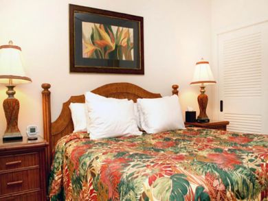 Guest bedroom with king bed