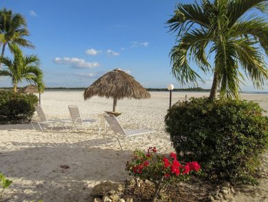 Fort Myers Condo 907050