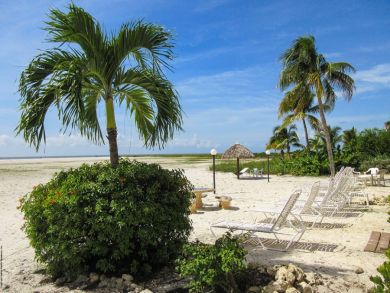 Fort Myers Condo 907053