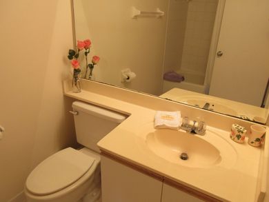 Fort Myers Condo 907059