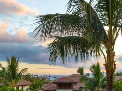 Wailea Vacation Rental with Stunning Interior Decor