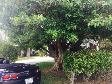 Fort Myers Home 907087