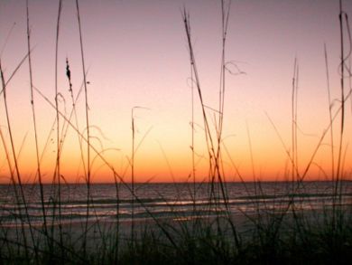 Longboat Key Condo 907097
