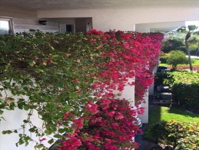 Anna Maria Island Holmes Beach Condo 907101