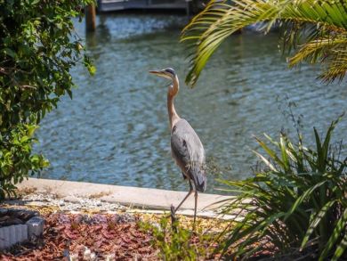 Anna Maria Island Holmes Beach Home 907128