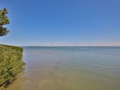 Longboat Key Bay View Two Bedroom Condo