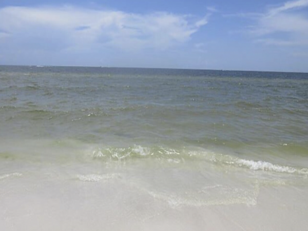Two Bedroom Fort Myers on Beach Accommodation