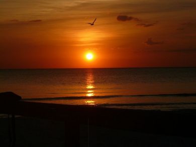 Fort Myers Condo 907182