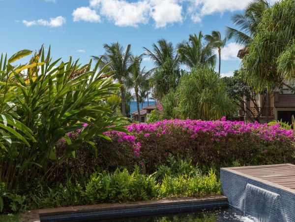 Luxury Three Bedroom Wailea Accommmodations
