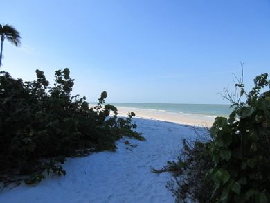 Fort Myers Condo 907263