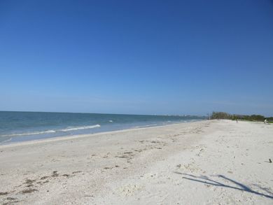 Fort Myers Condo 907263