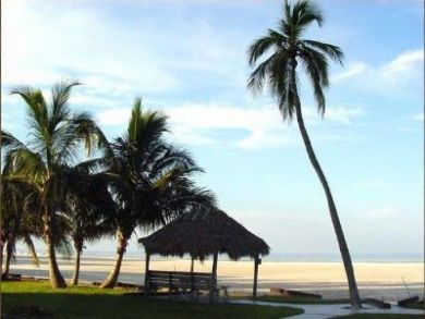 Fort Myers Condo 907283