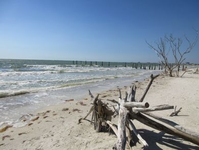 Fort Myers Condo 907287