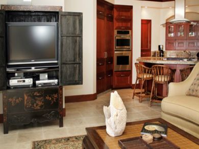Entertainment center