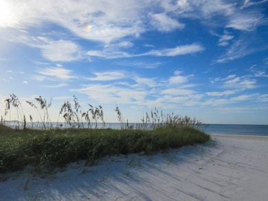 Fort Myers Condo 907302