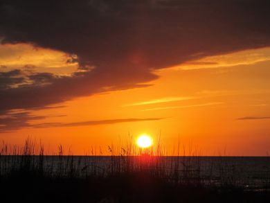 Fort Myers Condo 907302